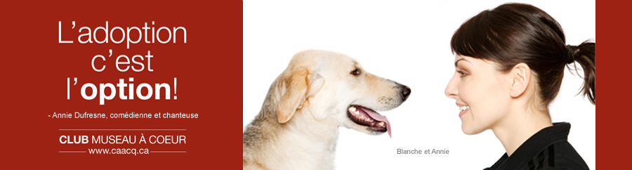 anniedufresne-banner