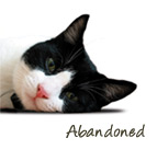 abandoned