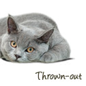 thrownout