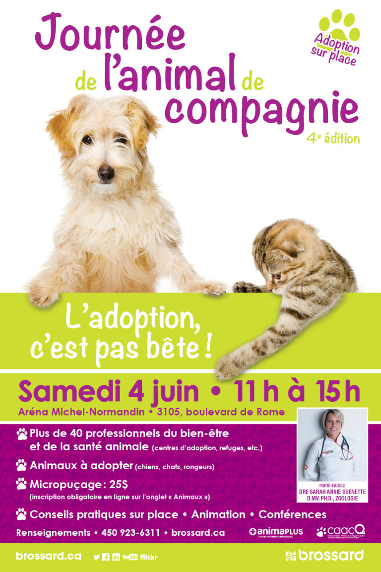 Actualités Bienvenue aux caacQ Centres d'adoption